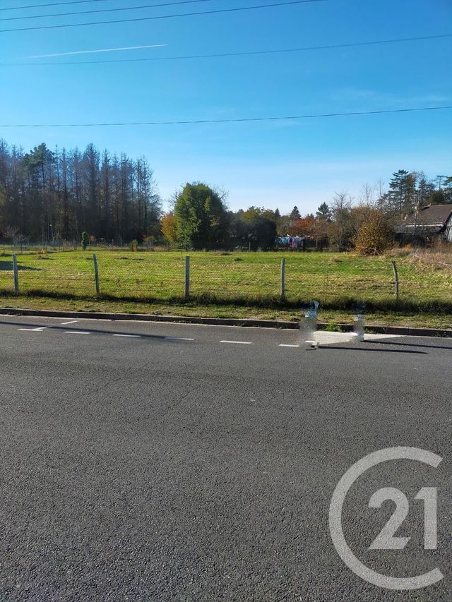terrain à vendre - 1009.0 m2 - VILLENY - 41 - CENTRE - Century 21 Néré Immobilier