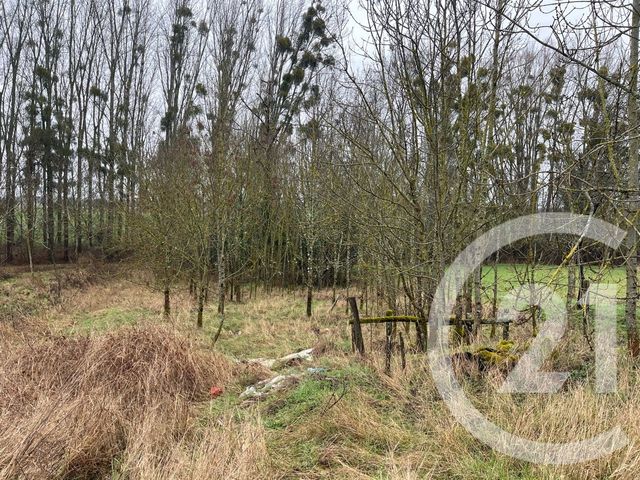 maison à vendre - 5 pièces - 92.54 m2 - MAREAU AUX PRES - 45 - CENTRE - Century 21 Néré Immobilier