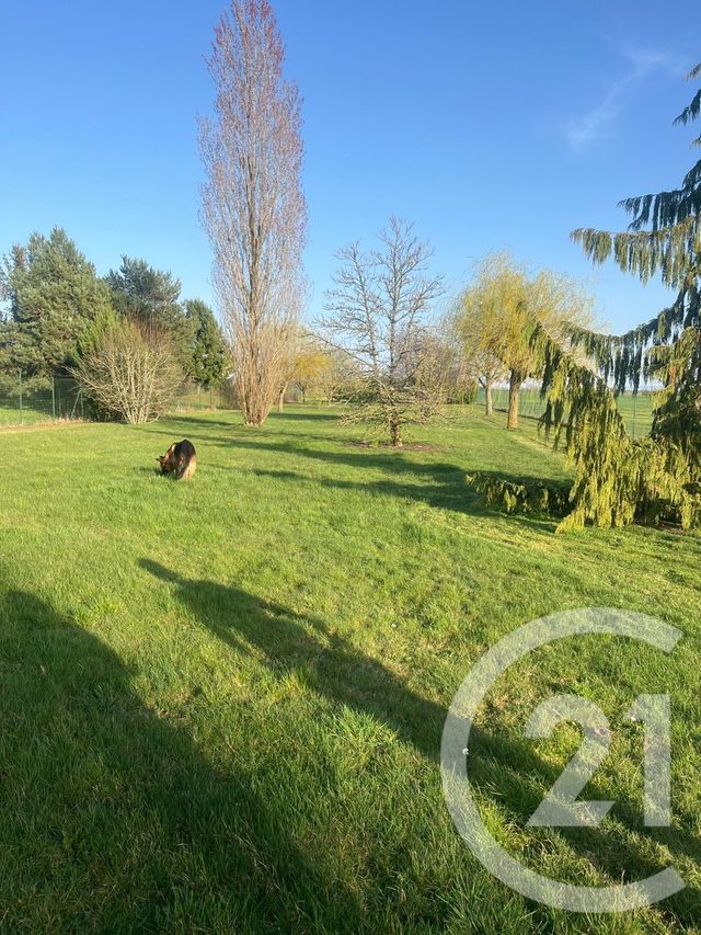 maison à vendre - 6 pièces - 123.17 m2 - MEUNG SUR LOIRE - 45 - CENTRE - Century 21 Néré Immobilier