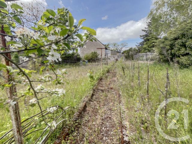 maison à vendre - 5 pièces - 65.84 m2 - MEUNG SUR LOIRE - 45 - CENTRE - Century 21 Néré Immobilier